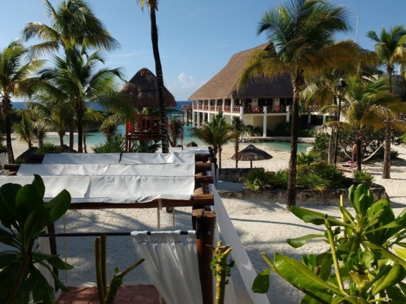 Occidental Grand Flamenco Xcaret