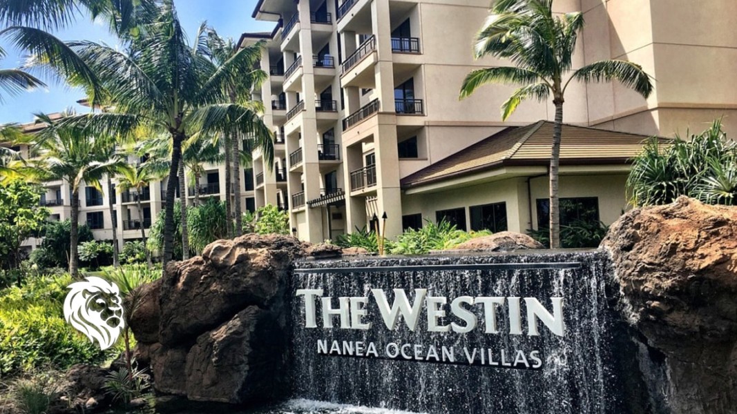 West Inn Complex Westin Timeshares: A Guide to the Top Resorts - Fidelity Real Estate
