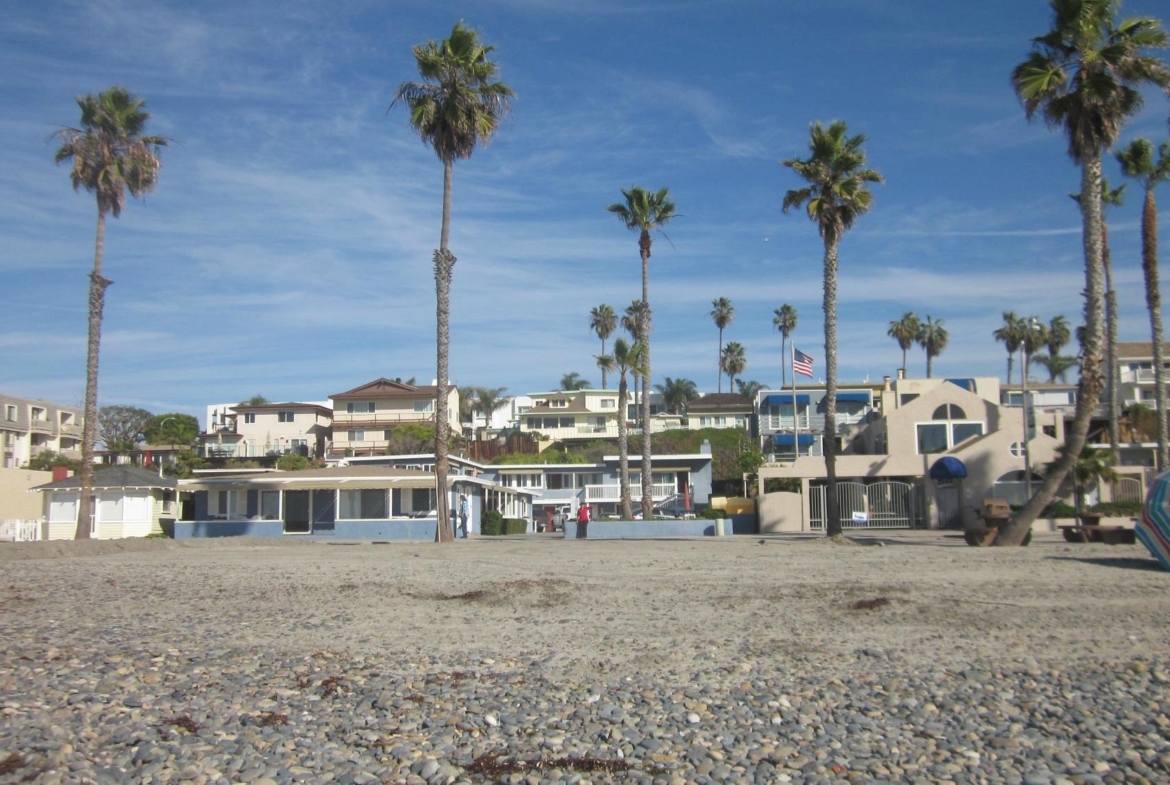 Blue Whale Beach