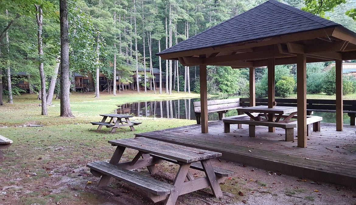 Foxhunt At Sapphire Valley picnic area