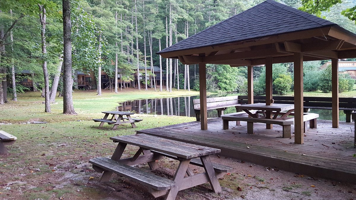 Foxhunt At Sapphire Valley picnic area