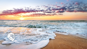 6 Best Beaches in Florida