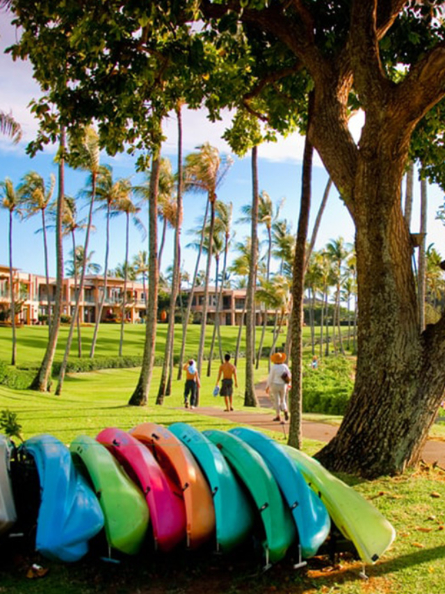 Hilton in Maui: Luxury, Adventure, and Aloha Awaits HGVC Owners