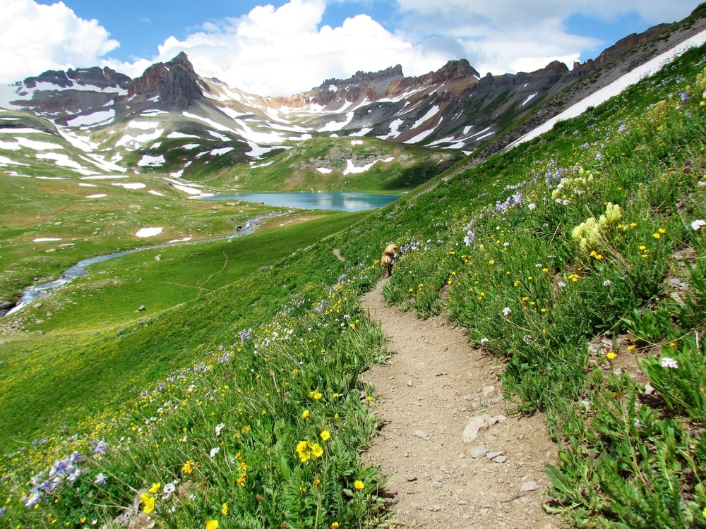 Ice Lake Basin