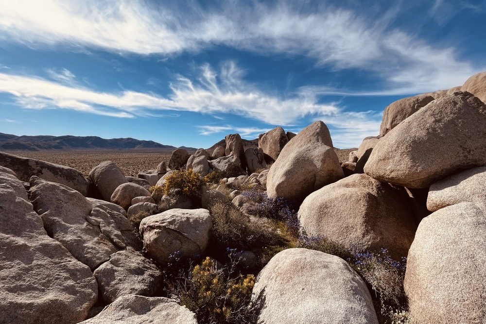 Joshua Tree National Park