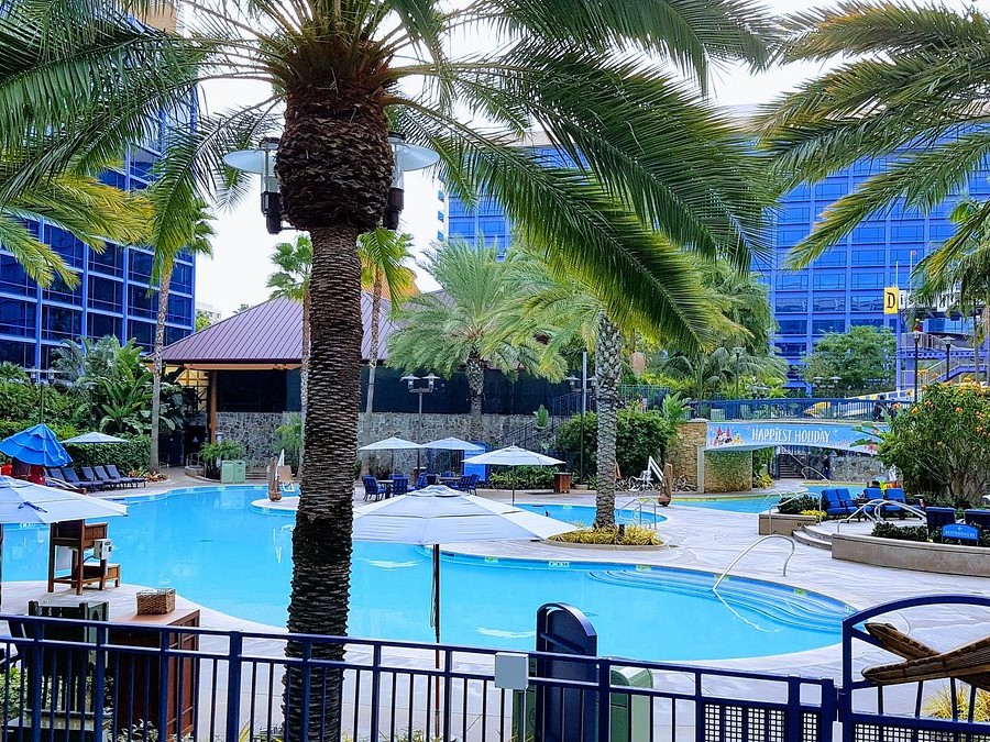 Disneyland Resort Pool