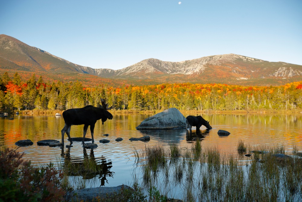 New England in the fall