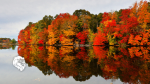 New England Autumn for fall road trip