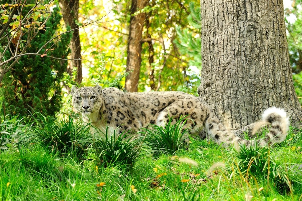 central park zoo, NYC