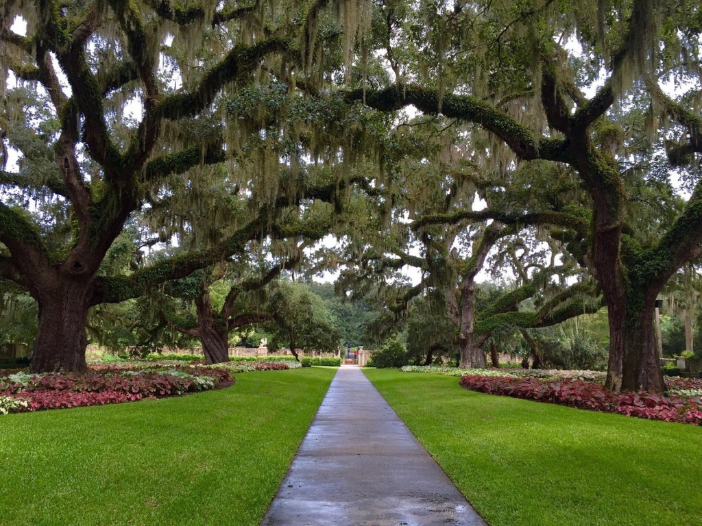 brookgreen gardens myrtle beach