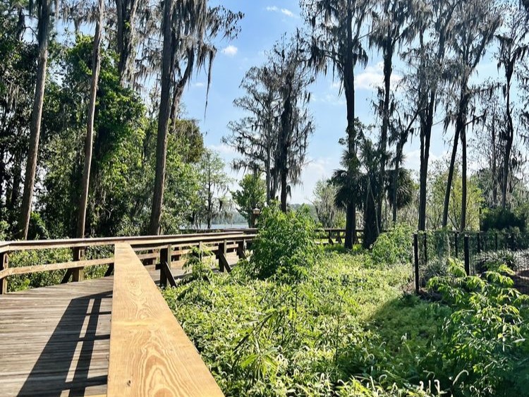 Copper Creek Villas at Disney's Wilderness Lodge Resort Grounds