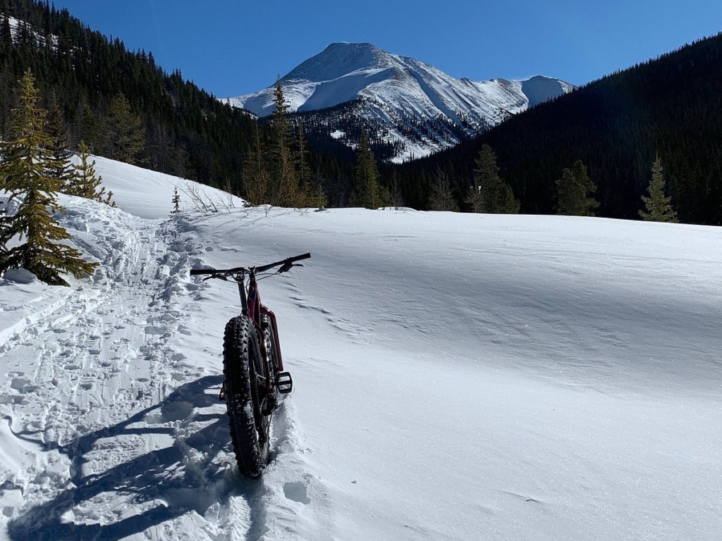 Enjoy Biking a popular activity in Aspen Colorado