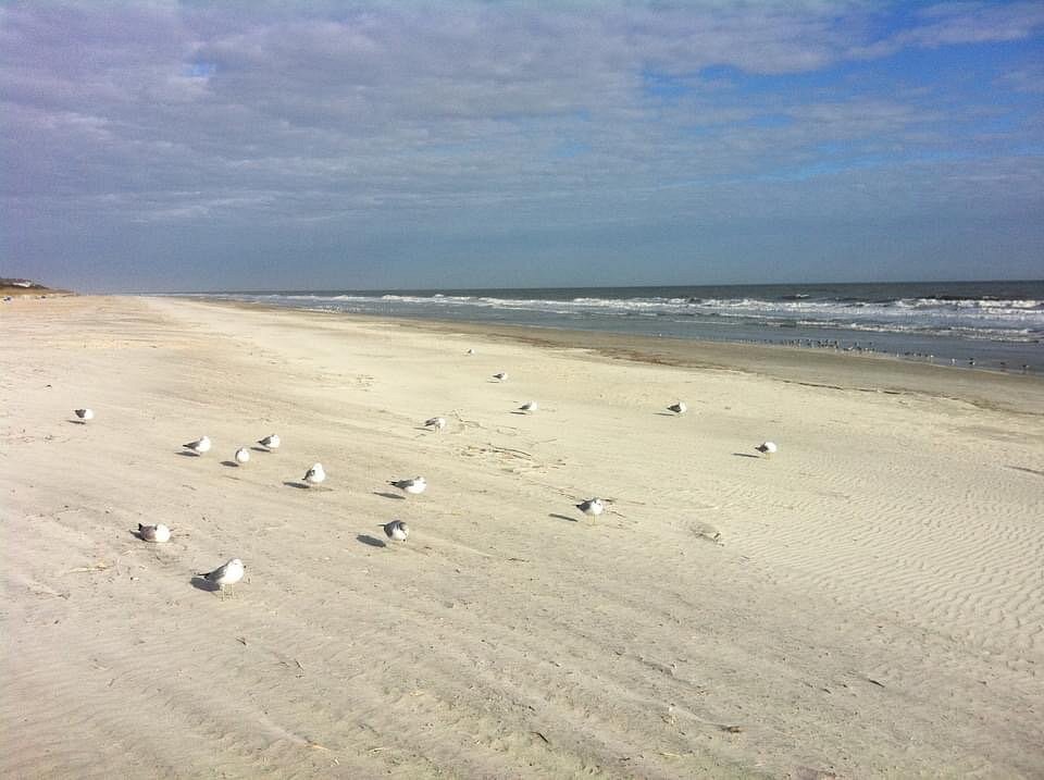 Coligny Beach Site