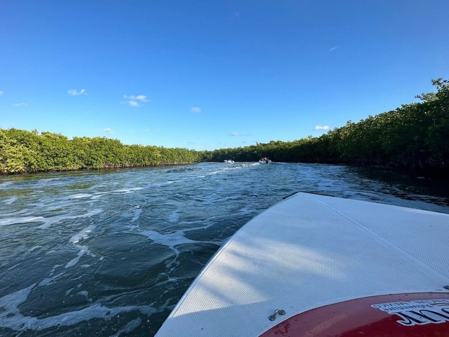 Nichupte Lagoon Speedboat