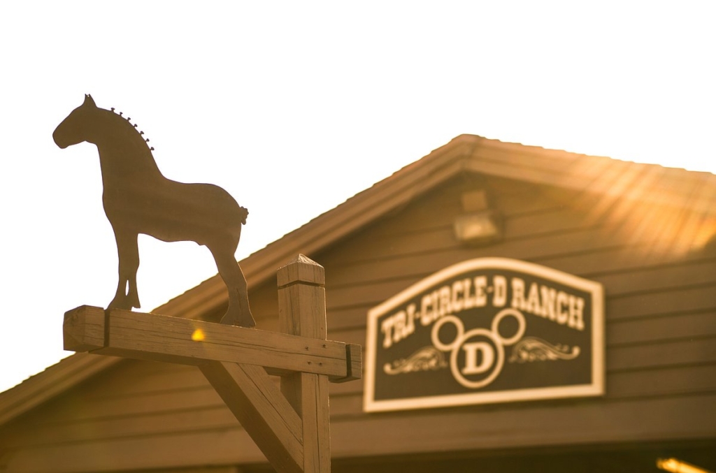 DVC Cabins at Fort Wilderness ranch with horseback riding