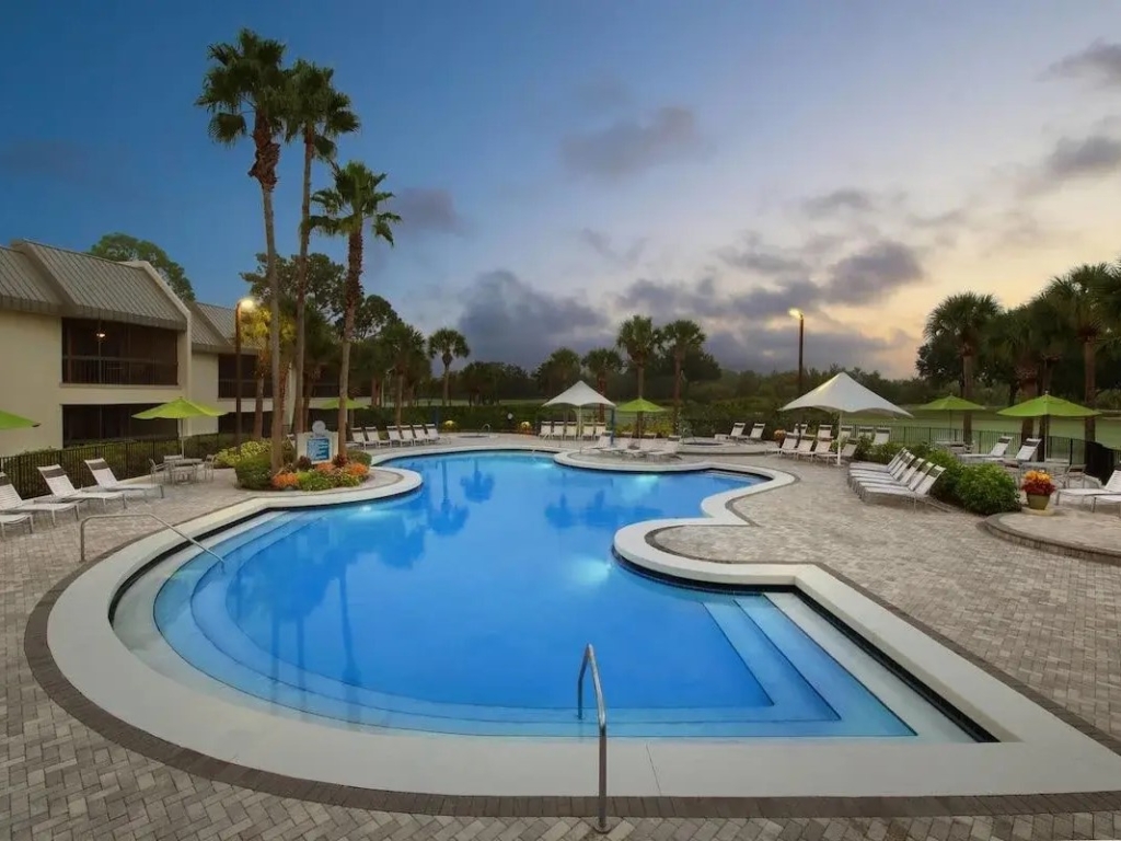 Sabal Palms Pool