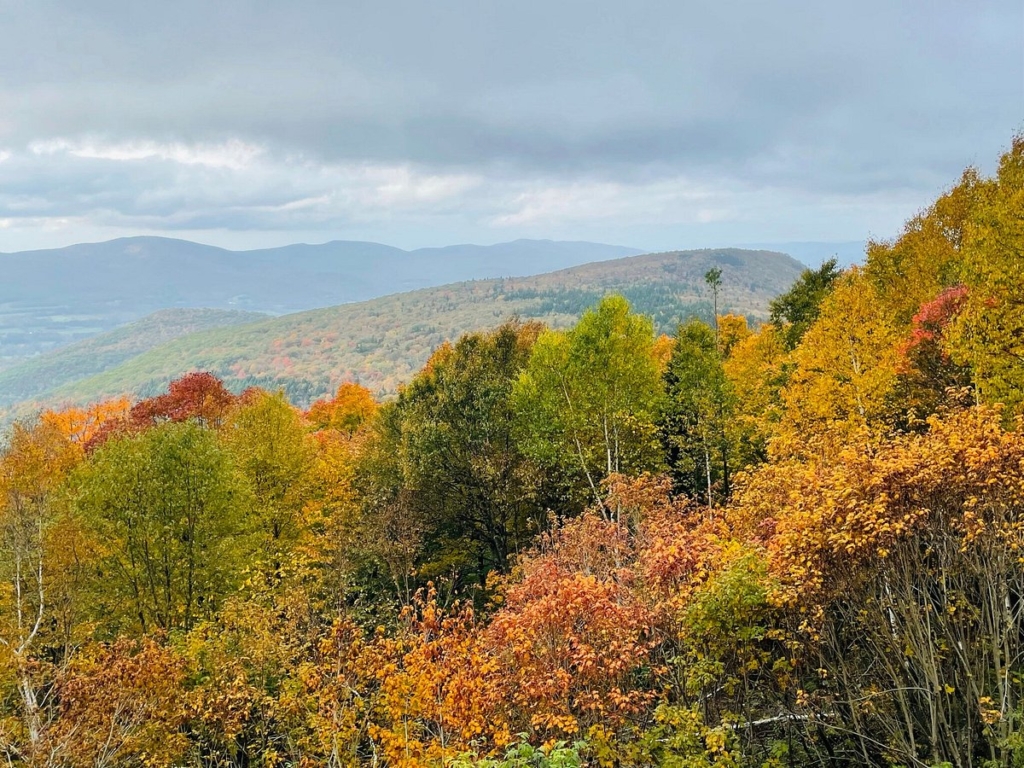 Berkshires Fall Foliage