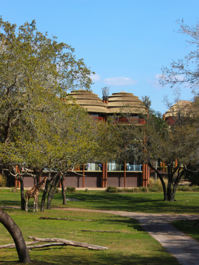Animal Kingdom Lodge Kidani Village