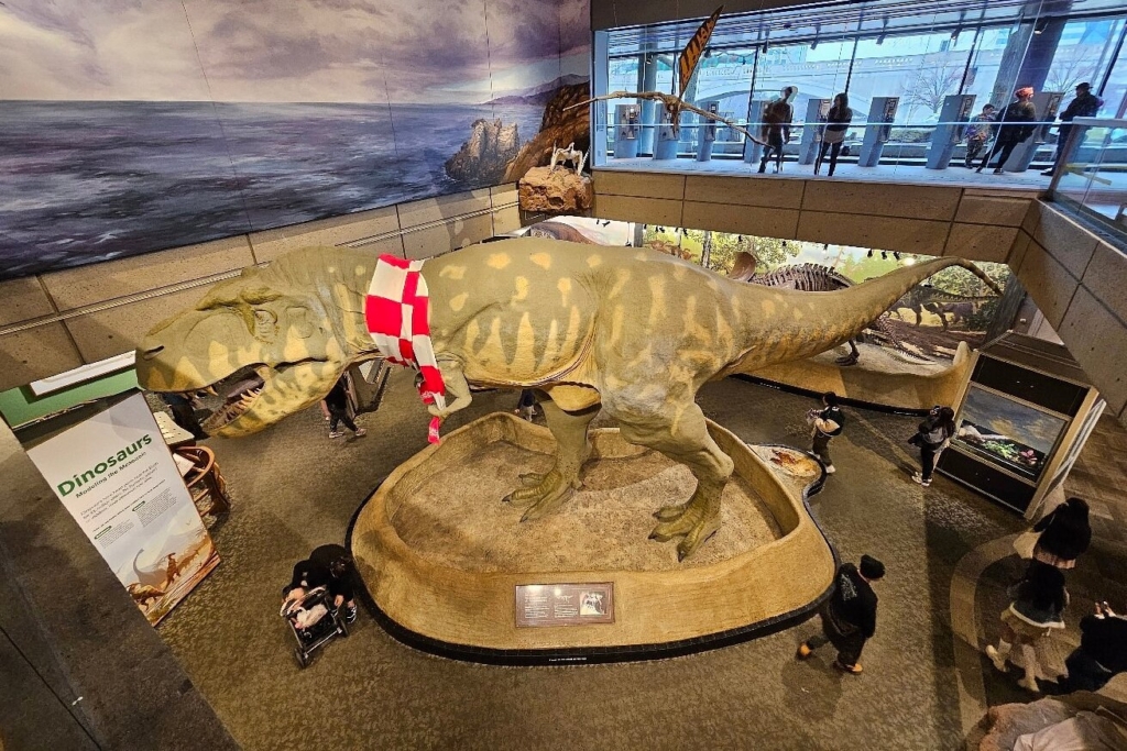 Dino Exhibit 