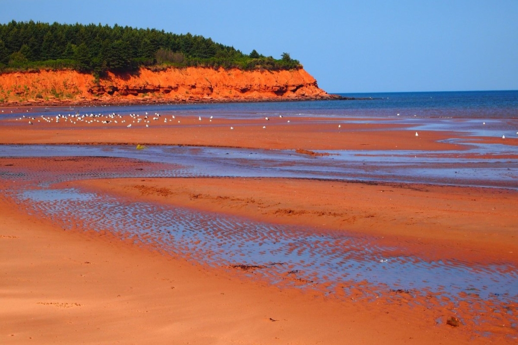 Summer Beach Vacation in Canada 