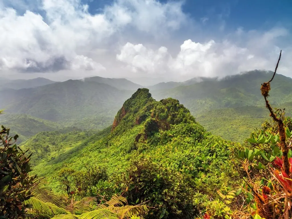 El Yunque National Forest