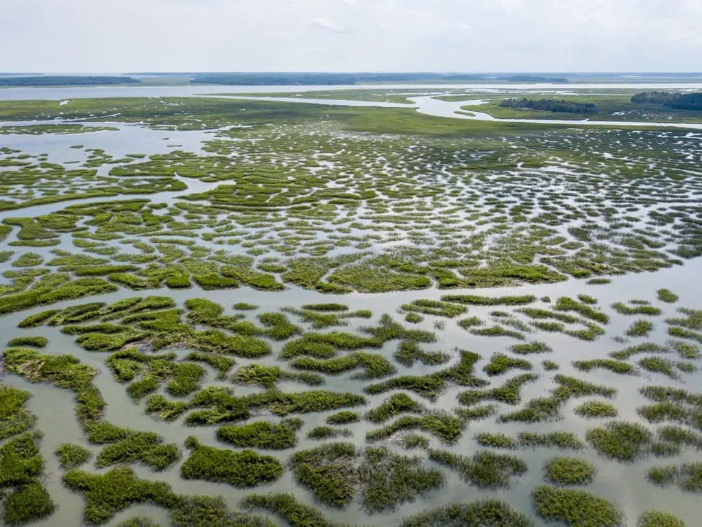hilton head marshes