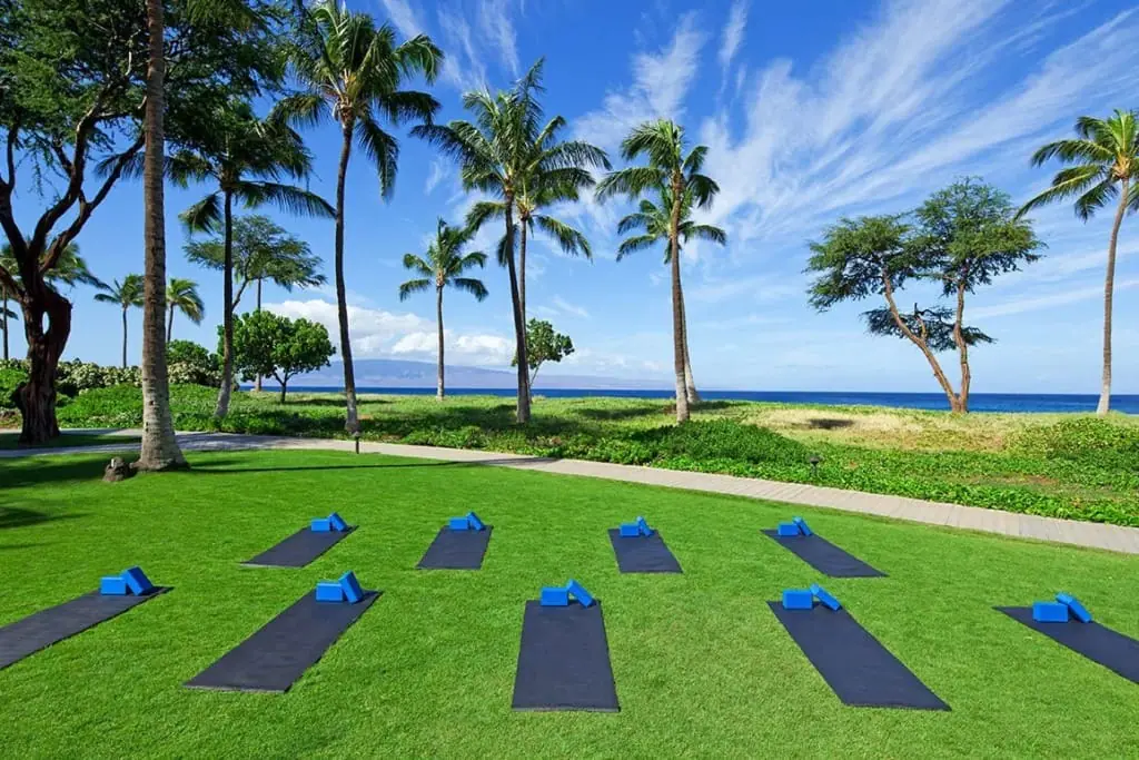 kaanapali beach hotel, Westin Maui, vacation rentals
