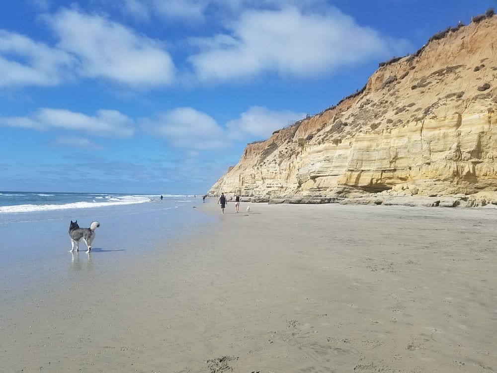 del mar beach