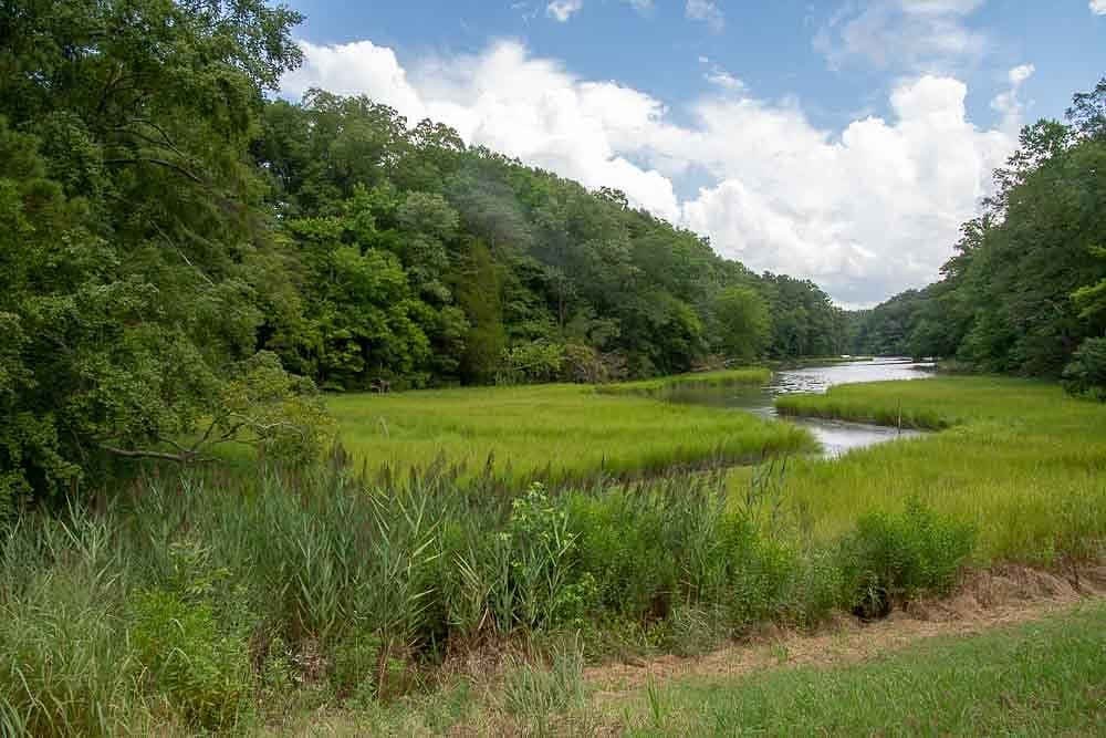 williamsburg timeshare water country