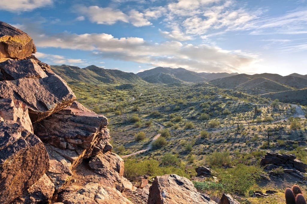 Landscape in Phoenix