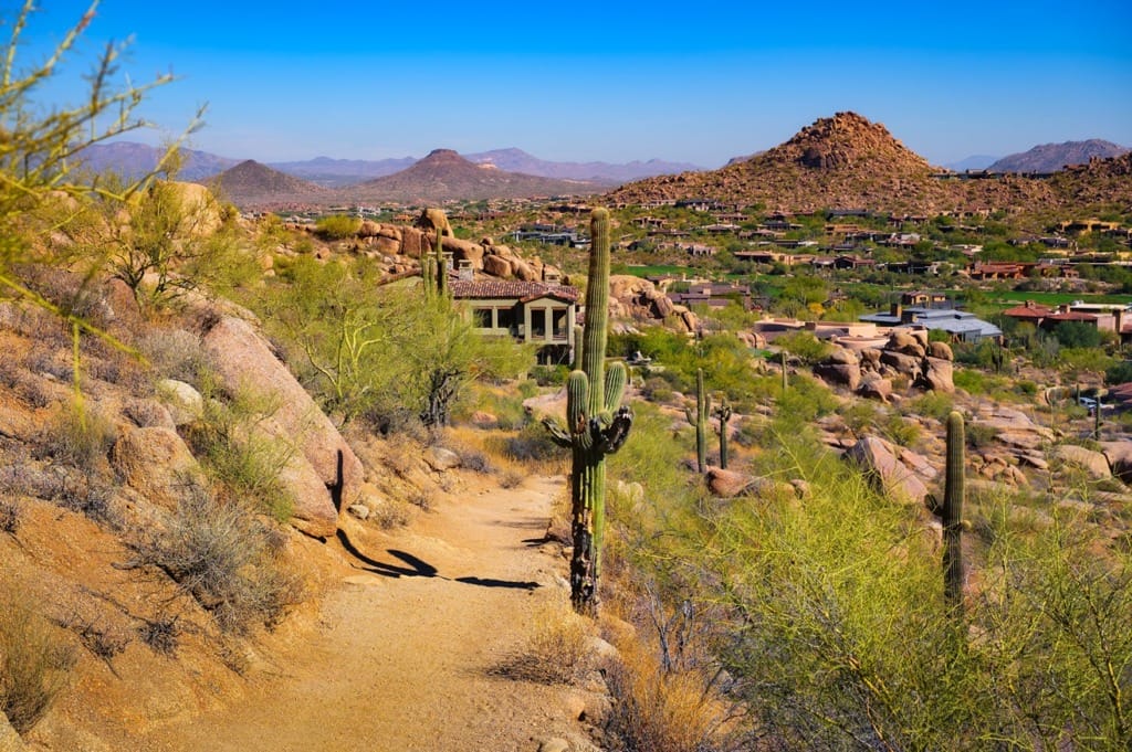 Scottsdale Desert Terrain