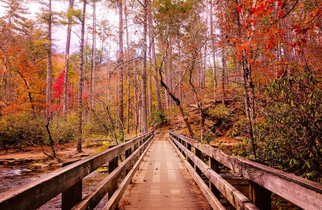 Hike to Abrams Falls at Great Smoky Mountains National Park on Fall Family Vacations
