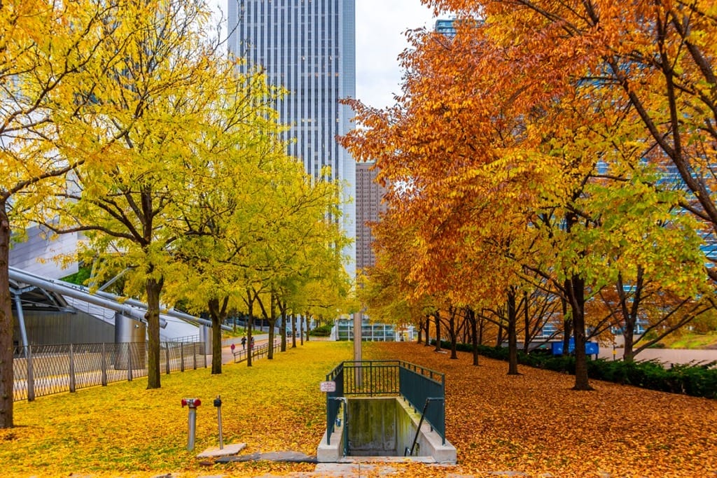 Explore Millennium Park in Fall Colors on Fall Family Vacations