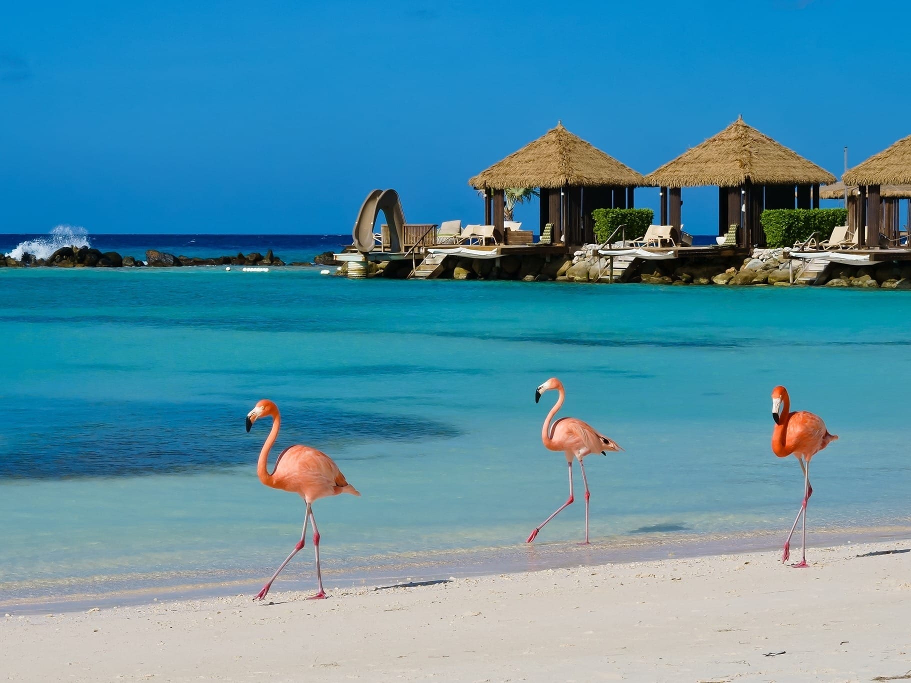 Great Places for Family Vacations - Aruba