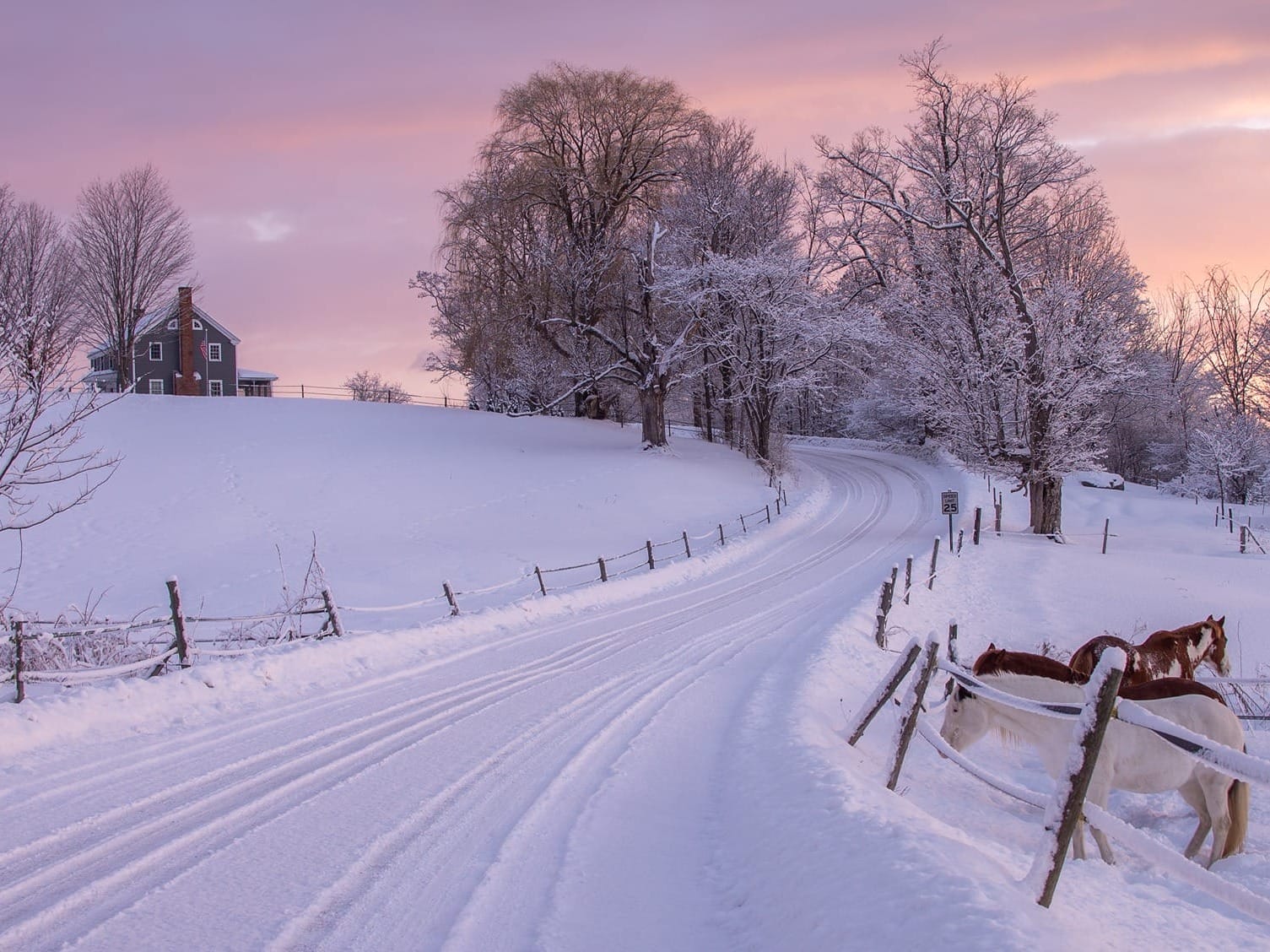 Horses in Snowy Vermont