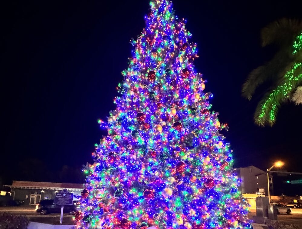 Key West Christmas Tree