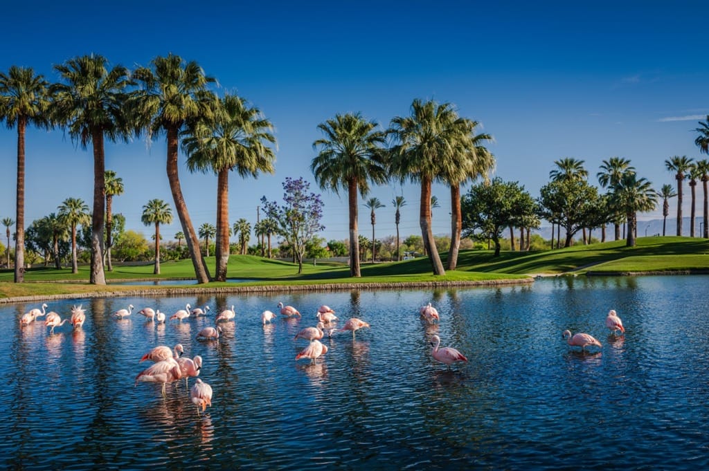 Palm Desert - California Resorts