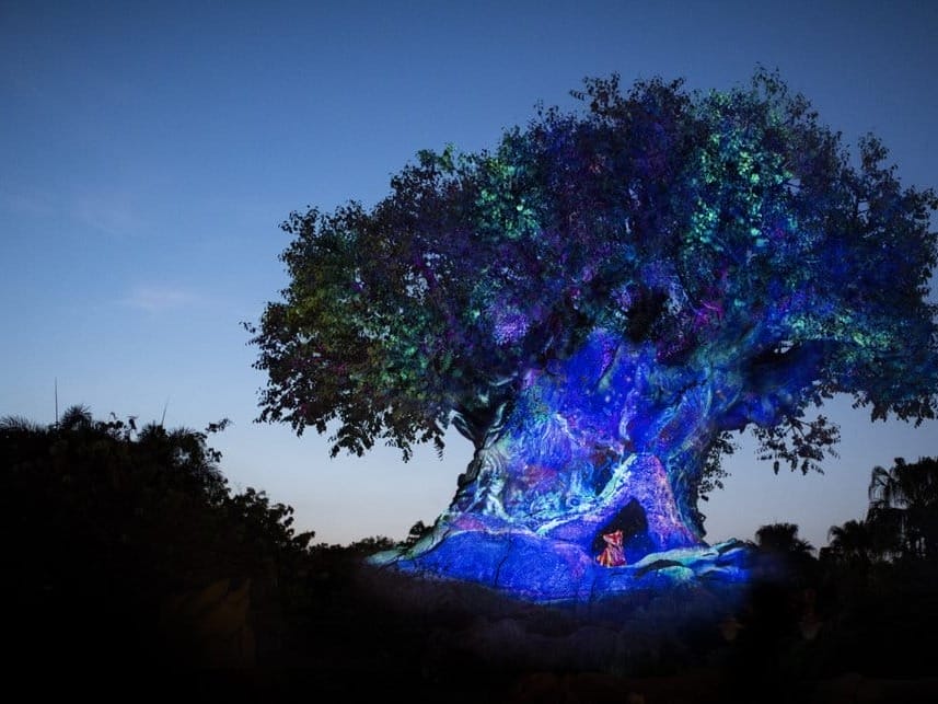 Tree of Life Awakenings