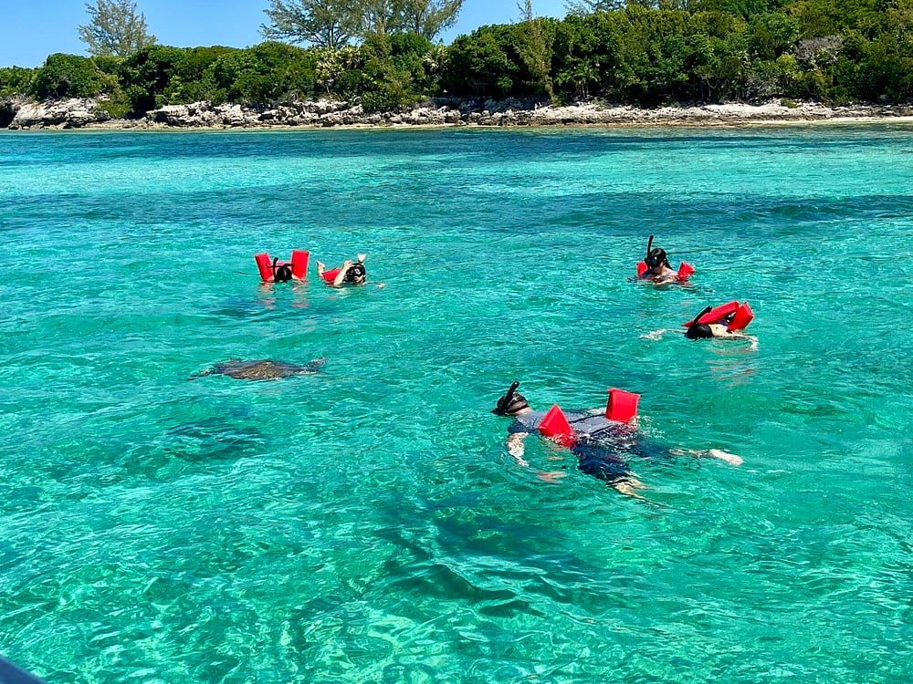 Snorkeling Near Harborside Resort at Atlantis