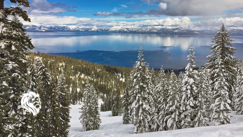 Best Places to Visit in January USA Edition