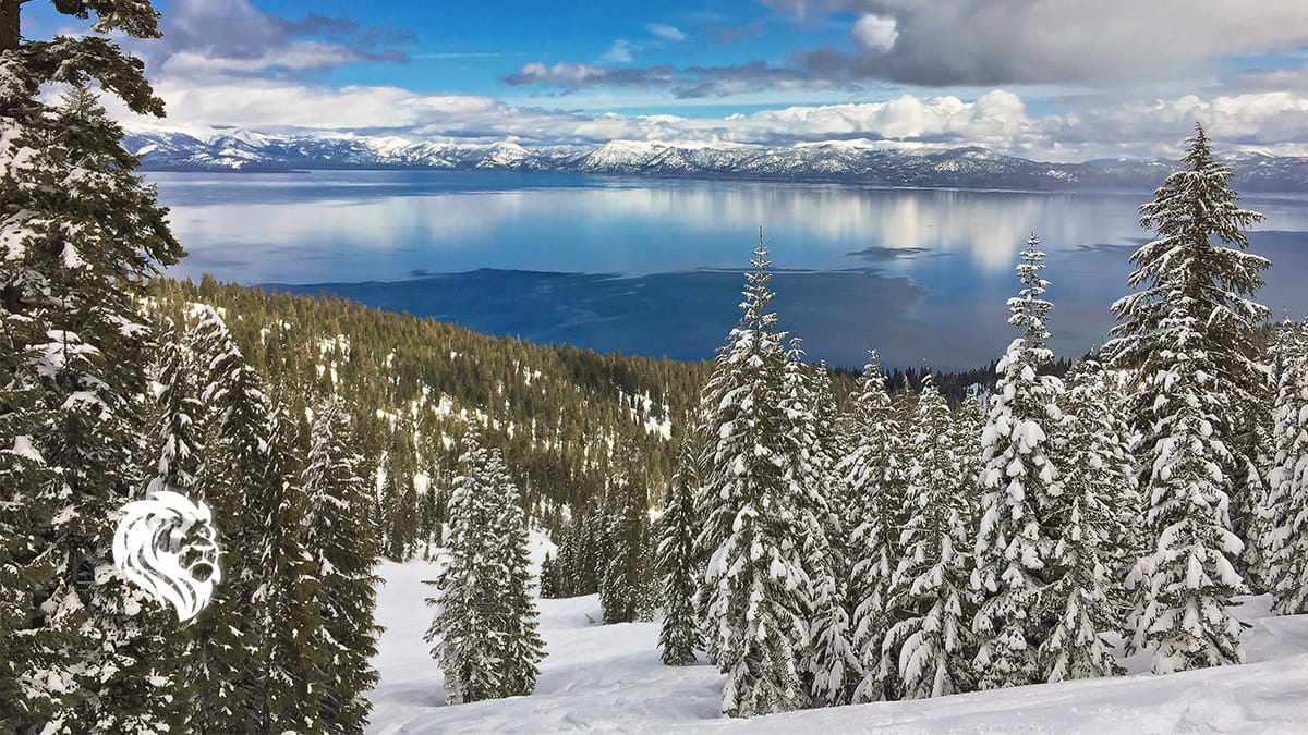 Best Places to Visit in January USA Edition