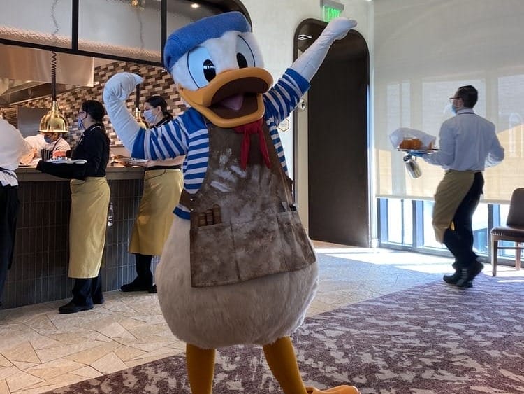Donald at Topolino's Terrace