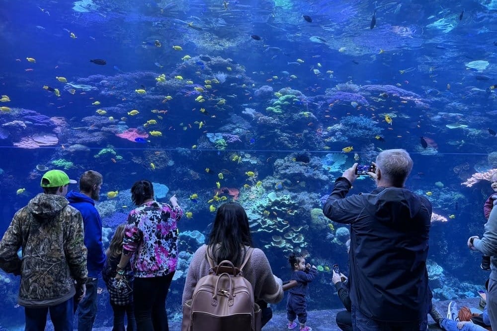 Georgia Aquarium