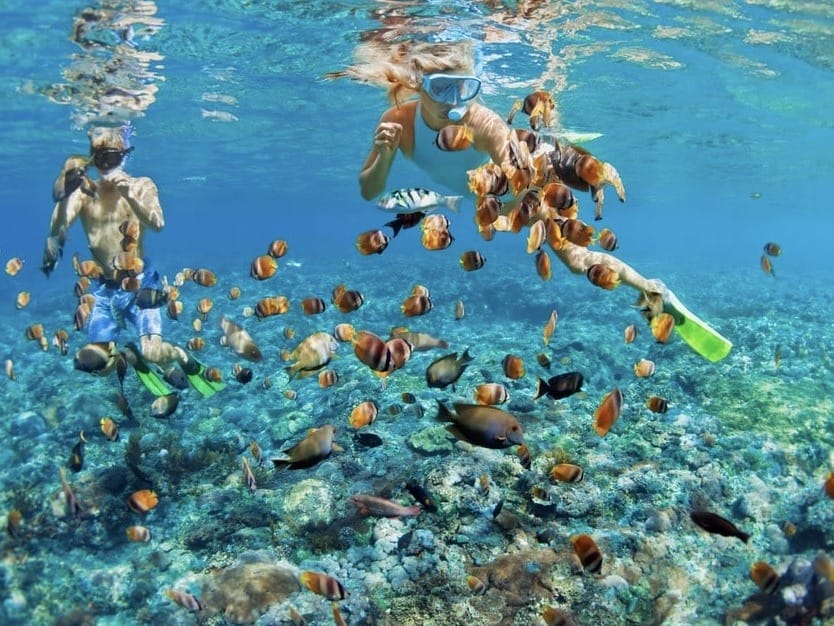 Snorkeling in the Bahamas